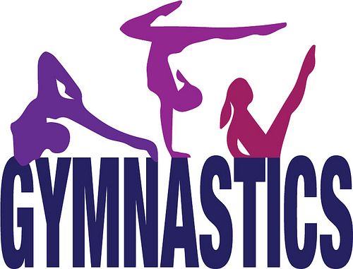 THE ST. VINCENT AND THE GRENADINES GYMNASTICS ASSOCIATION ELECTS NEW ...