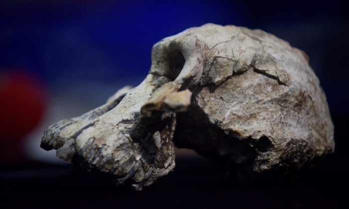 Police are investigating the circumstances surrounding the discovery of a human skull at Diamond