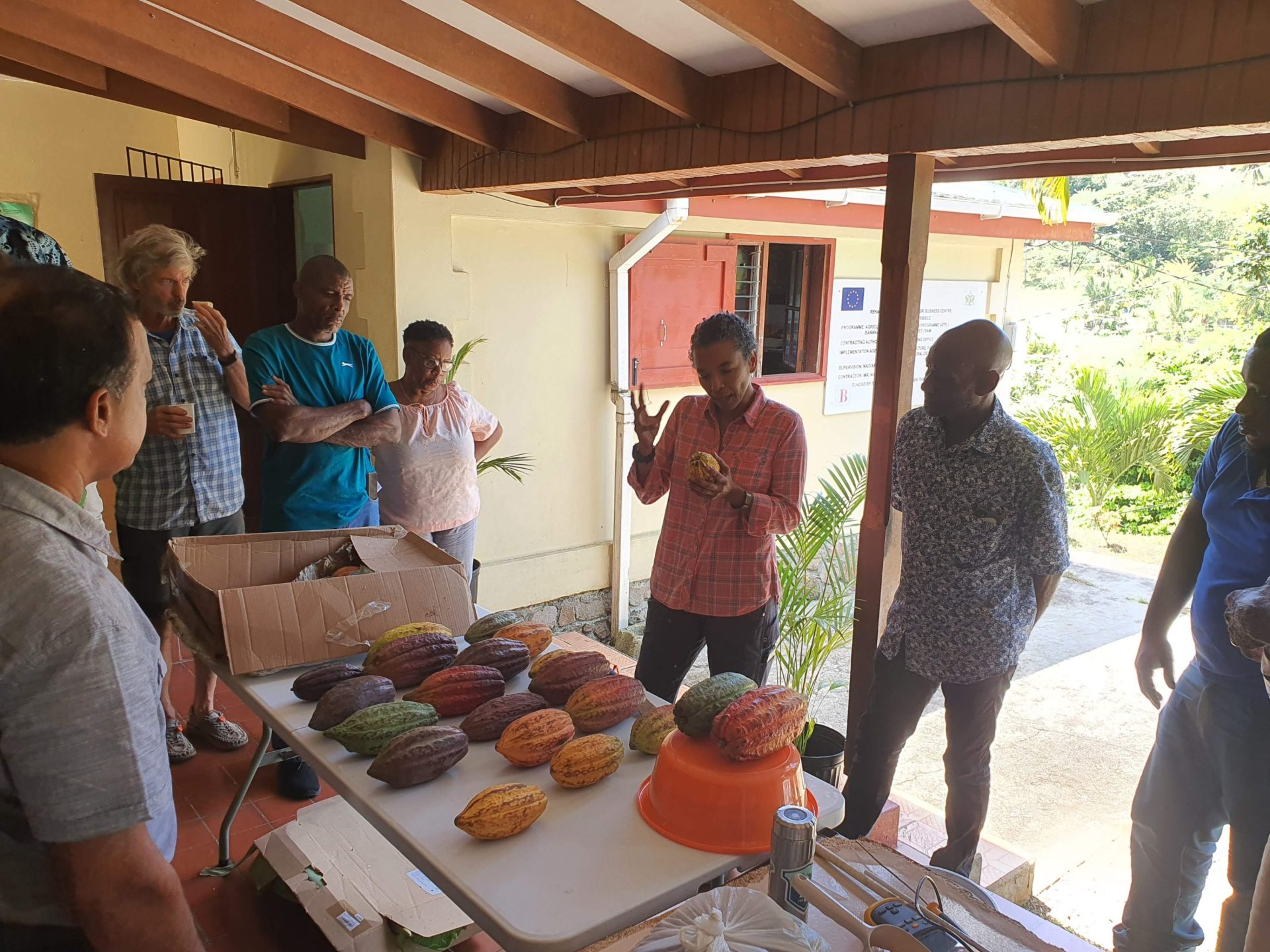 Saint Lucia’s “finest” cocoa gets a significant boost to revitalize the