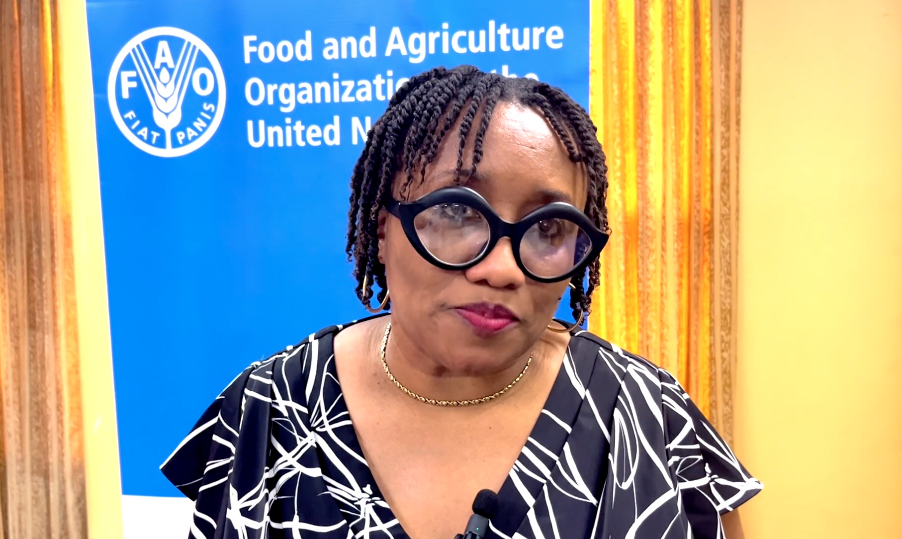 FAO and Ministry of Agriculture host Disaster Risk Management Training ...