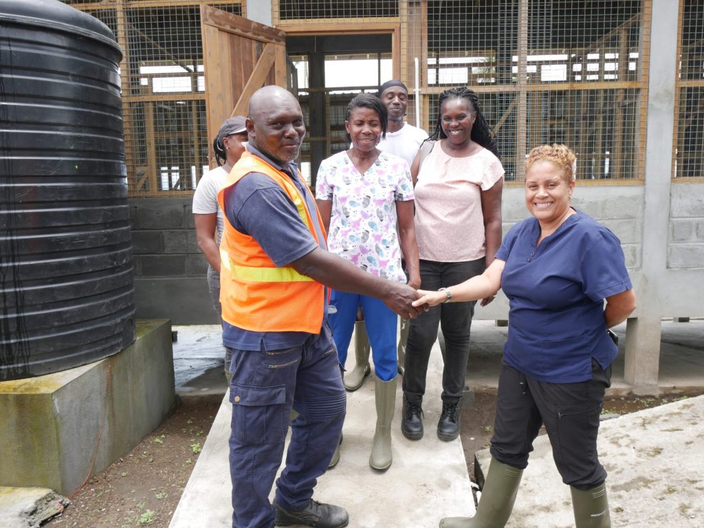 Economic Planning Division Hands Over Small Ruminant Pens to Ministry of Agriculture Under VEEP