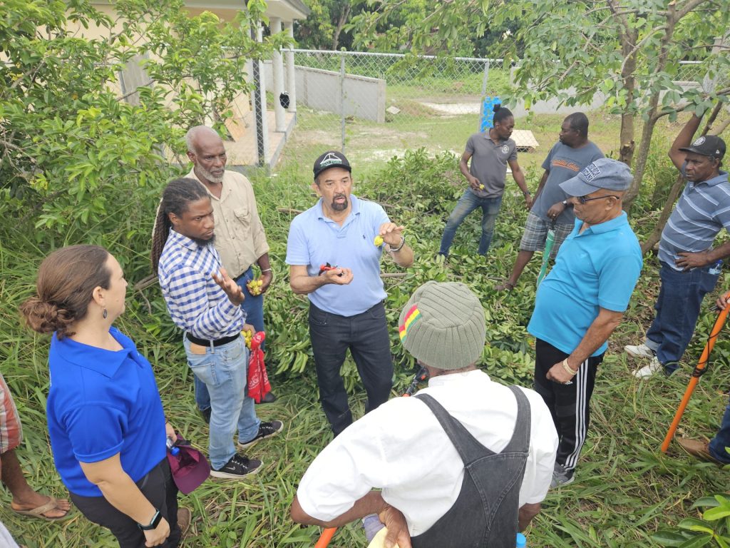 Soursop farmers and technicians in Grenada undergo comprehensive training to bolster industry