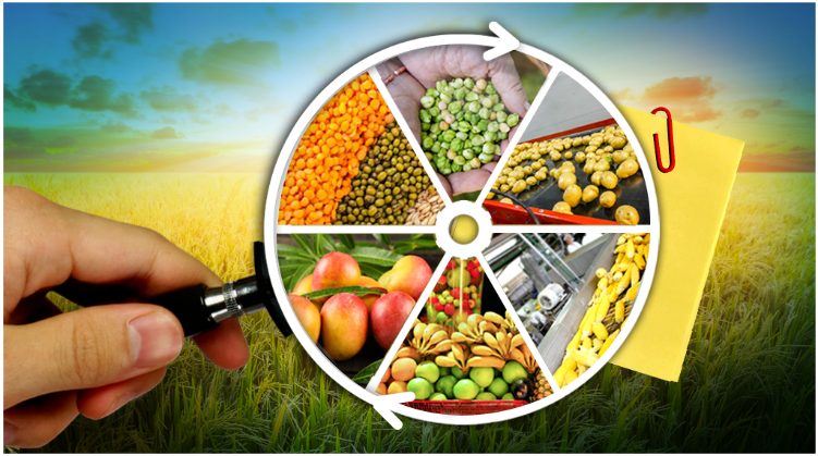 Turn Your Agro Ideas into Reality with a $2,000 Grant