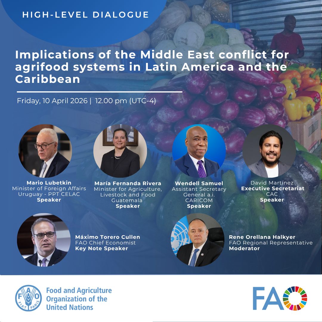 High-Level Dialogue: Implications of the Conflict in the Middle East on ...