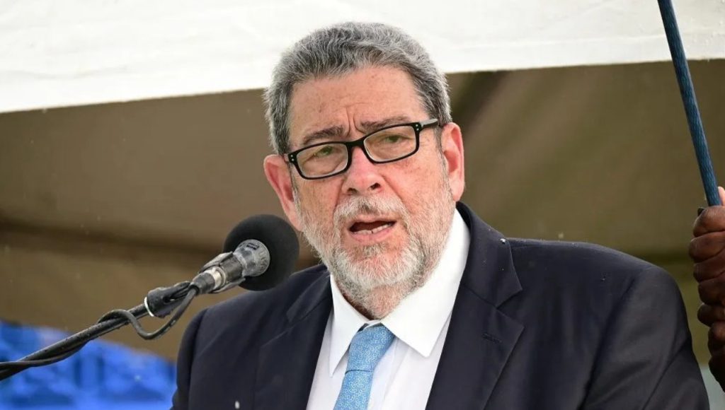 Opposition Questions Timing of Constitution Amendment