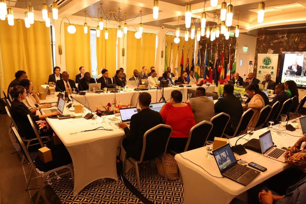 Minister Shallow Champions Technology-Driven Sustainability at OECS Environmental Meeting