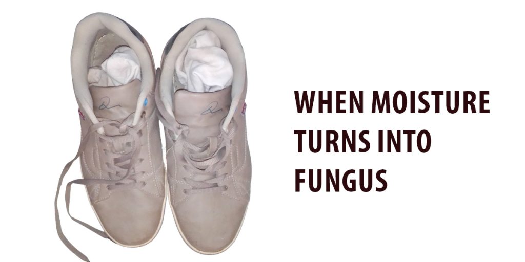 When Moisture Turns into Fungus – Socks
